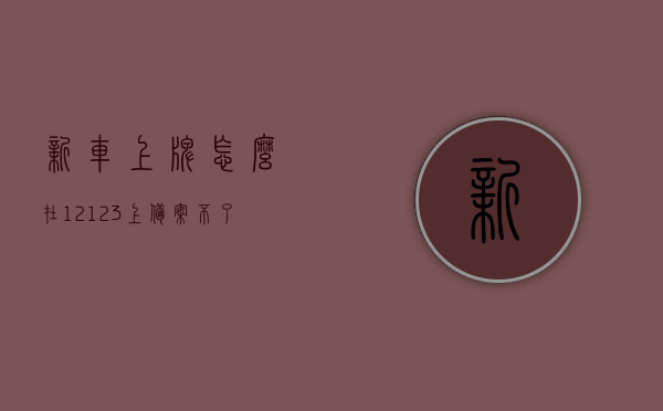 新车上牌怎么在12123上备案不了呢（上完牌的新车为啥备案不了），新车在12123平台上为何无法成功备案上牌？，新车在12123平台上为何无法成功备案上牌？解决方法详解，新车在12123平台上无法成功备案上牌解决方法详解