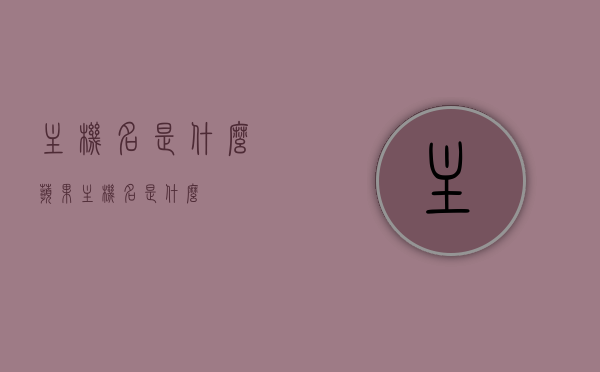 主机名是什么（苹果主机名是什么），关于主机名的解析，苹果主机名的定义与功能介绍