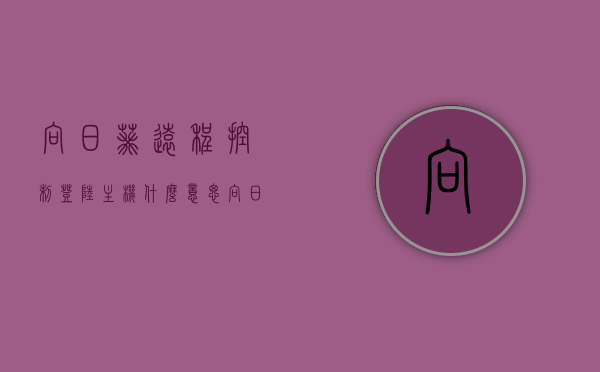 向日葵远程控制登陆主机什么意思（向日葵远程控制电脑原理），向日葵远程控制的登录主机意义及原理解析，向日葵远程控制原理详解，登录主机意义及电脑控制原理解析