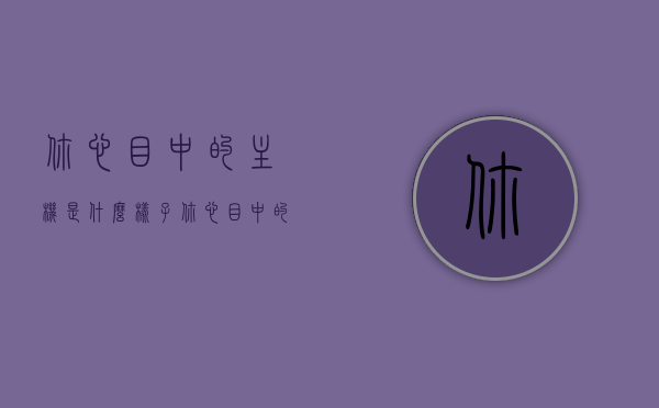 你心目中的主机是什么样子（你心目中的计算机是什么样的），我心目中的理想主机/计算机设计概述，我心目中的理想主机设计概述，探索计算机的未来形态