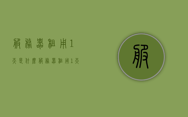 服务器租用1天是什么（服务器租用1天是什么意思），服务器租用一天，概念解析与深度解读