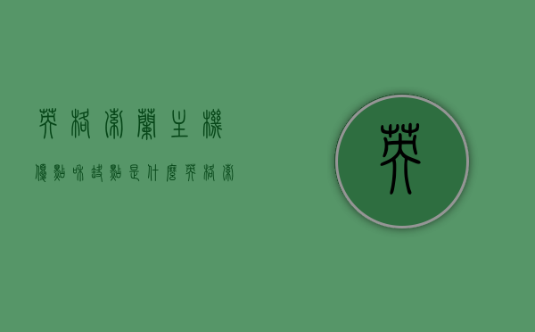 英格索兰主机优点和缺点是什么（英格索兰msg），英格索兰主机（英格索兰msg）的优缺点解析，英格索兰主机优缺点解析，全面解读英格索兰msg主机的优点与缺点