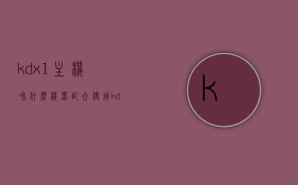 kdx1主机和什么机器配合使用（kdx1一定要用kd子机才能用吗），KDX1主机的配合使用机器及是否必须使用KD子机探讨，KDX1主机兼容性探讨，必须搭配KD子机使用吗？其他配合机器有哪些？ 第1张