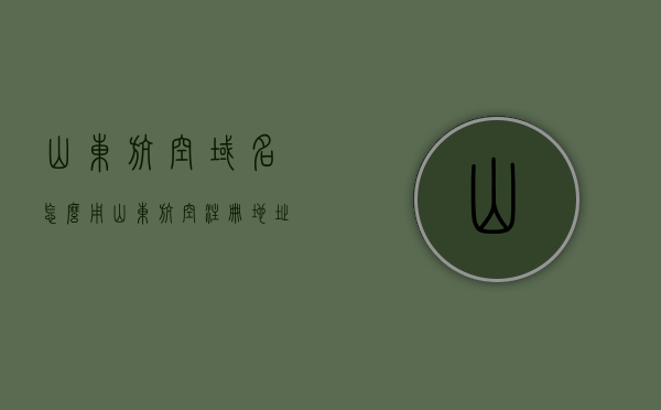山东航空域名怎么用（山东航空注册地址），山东航空域名使用指南，注册地址及使用方法，山东航空域名使用指南，注册地址、使用方法全解析