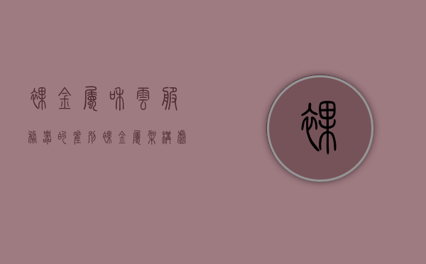 裸金属和云服务器的差别（裸金属架构虚拟系统有哪些），裸金属与云服务器的差异及裸金属架构虚拟系统解析