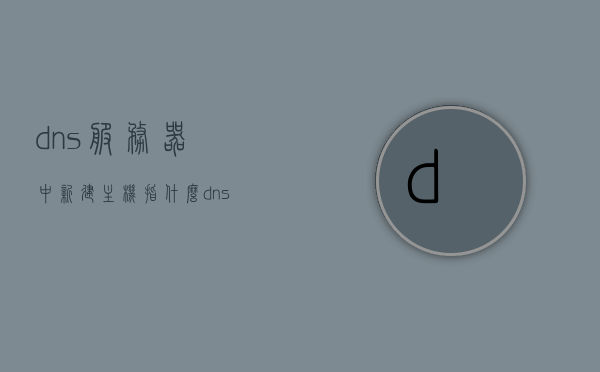 dns服务器中新建主机指什么（dns创建主机），DNS服务器中新建主机详解，创建主机步骤与操作指南