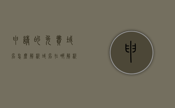 申请的免费域名怎么解析（域名在哪解析），免费域名解析指南，如何申请并解析域名？
