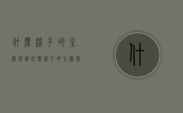 什么牌子的主机保值（什么牌子的主机保值率高），哪些品牌的主机保值率高？，哪些品牌的主机保值率高？品牌主机保值率解析