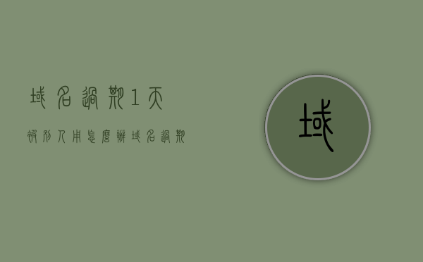 域名过期1天被别人用怎么办（域名过期1天被别人用怎么办理），域名过期一天被他人占用处理指南（如何应对域名过期被别人占用问题），如何应对域名过期被别人占用的问题，处理指南与解决方案