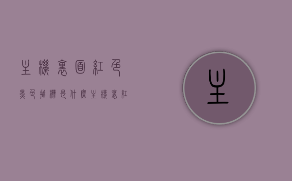 主机里面红色黑色插槽是什么（主机里红色的线），主机内红色与黑色插槽揭秘，解析红色线的功能与作用，揭秘主机内部，红色与黑色插槽详解及红色线的功能与解析