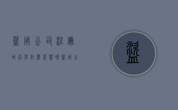盗用公司注册域名有什么影响呢（盗用公司信息注册域名），盗用公司注册域名后果解析，影响与风险揭秘