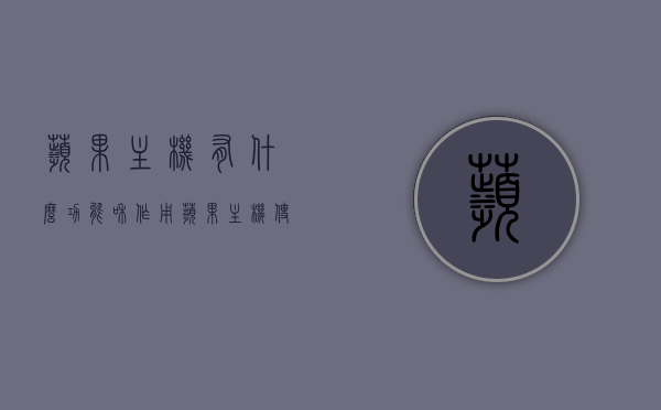 苹果主机有什么功能和作用（苹果主机使用说明），苹果主机功能全面解析与使用指南，苹果主机功能全面解析与使用指南，了解苹果主机的功能和作用，全面解析苹果主机的功能与使用方法，使用指南及功能介绍，苹果主机功能全面解析与使用指南，从基础功能到高级使用技巧的全面介绍，苹果主机功能全面解析，从基础到高级的使用指南及功能介绍，苹果主机功能全面解析，从基础到高级的使用指南及功能介绍介绍，苹果主机功能全面解析，从基础到高级的使用指南及功能介绍详解
