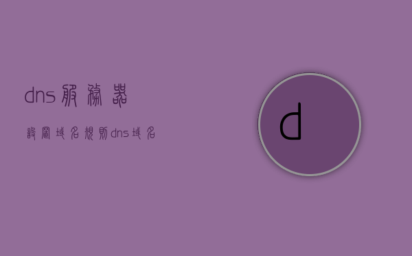 dns服务器设置域名规则（dns域名服务器的作用），DNS服务器设置域名规则详解及域名服务器的作用探究