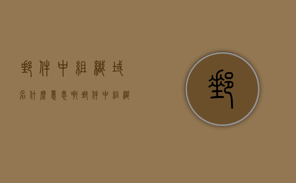 邮件中组织域名什么意思啊（邮件中组织域名什么意思啊英文），邮件中的组织域名含义解析（Organization Domain in Email）