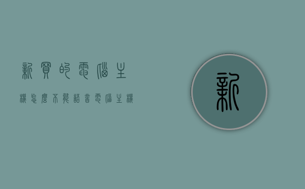 新买的电脑主机怎么不能语音（电脑主机买回来怎么用），新买的电脑主机无法语音使用指南，从购买到使用，一步到位解决电脑主机语音问题