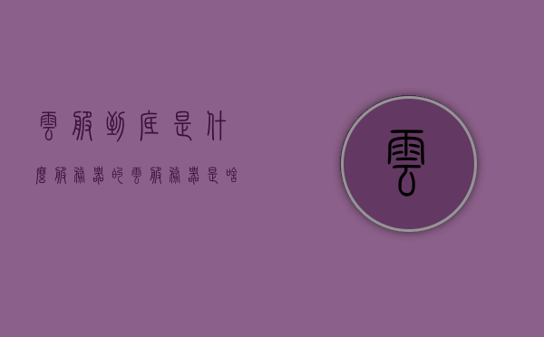 云服到底是什么服务器的（云服务器是啥意思），云服务器解析，云服究竟是何服务器？，揭秘云服务器，解析云服定义与功能，探寻云技术背后的服务器奥秘，揭秘云服务器，定义、功能与探寻云技术背后的奥秘解析