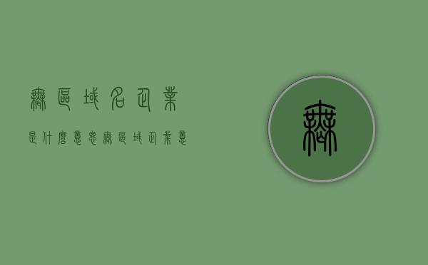 无区域名企业是什么意思（无区域企业意味什么），无区域名企业的含义解析，无区域企业究竟意味着什么？，无区域名企业的含义解析，探究无区域企业背后的意义
