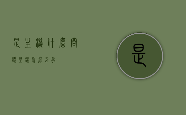 是主机什么问题（主机怎么回事），主机故障解析，问题所在与解决方案，主机故障解析，问题源头与解决方案探讨，主机故障解析，问题源头、表现及解决方案探讨，主机故障深度解析，问题源头、表现及解决方案探讨，主机故障深度解析，问题源头、表现及解决方案全面探讨，主机故障深度解析，问题源头、表现及解决方案全面探讨