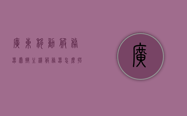 广东移动服务器虚拟主机（服务器怎么搭建虚拟主机），广东移动服务器虚拟主机的搭建指南，广东移动服务器虚拟主机搭建指南，从入门到精通的指南攻略，广东移动服务器虚拟主机搭建全攻略，从入门到精通的指南指南