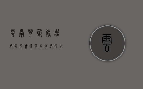 云南买服务器服务是什么（云南买服务器服务是什么公司），云南服务器服务购买指南，优质公司提供专业服务