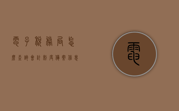 电子税务局怎么查询会计制度备案信息表（财务会计制度备案电子税务局），电子税务局查询会计制度备案信息表操作指南，电子税务局查询会计制度备案信息表操作指南，如何查询财务会计制度备案信息表？，电子税务局查询会计制度备案信息表操作指南，轻松掌握查询财务会计制度备案信息流程 第1张