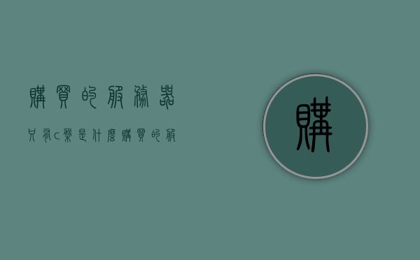 购买的服务器只有c盘是什么（购买的服务器只有c盘是什么意思），购买的服务器仅含C盘是何含义？