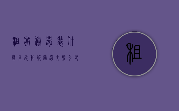 租服务器装什么系统（租服务器大概多少钱），租服务器，如何选择与配置系统及其成本概述