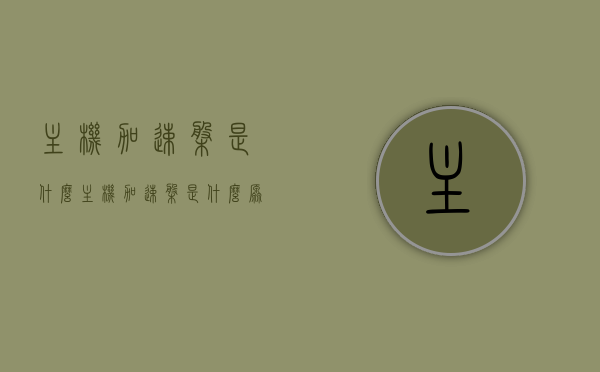 主机加速盘是什么（主机加速盘是什么原因），主机加速盘解析，定义与原因探究