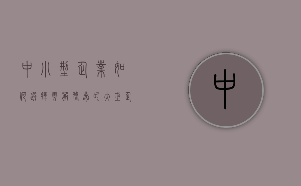 中小型企业如何选择云服务器的（大型企业和中小企业该如何选择云计算服务?），中小型企业如何选择云服务器，云计算服务选择的策略与考量点解析