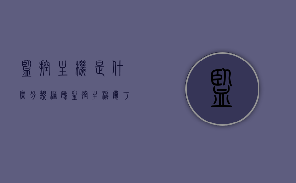 监控主机是什么分类编码（监控主机属于什么类型的设备），监控主机的分类编码及设备类型，深入了解监控主机