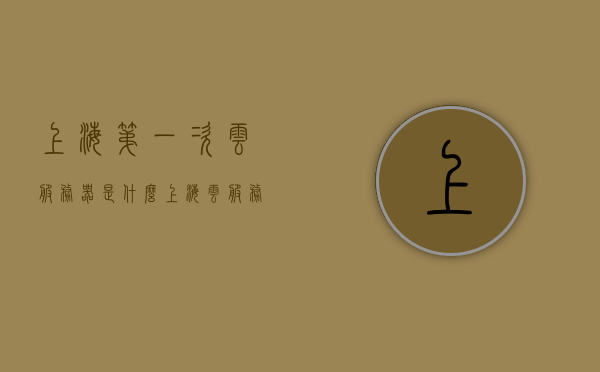 上海第一次云服务器是什么（上海云服务器平台网站），上海首次云服务器介绍，探索上海云服务器平台网站