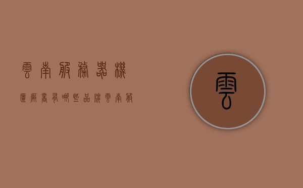 云南服务器机柜厂商有哪些品牌（云南服务器托管），云南服务器机柜品牌及托管服务概述，云南服务器机柜品牌及托管服务概览，厂商与品牌解析，云南服务器机柜品牌及托管服务解析，厂商与品牌概览