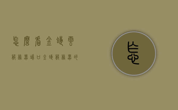 怎么看金蝶云服务器端口（金蝶服务器的ip地址怎么看），金蝶云服务器端口及IP地址查看指南