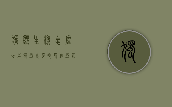 独显主机怎么分屏（独显怎么接两个显示器），独显主机实现分屏，双显示器连接指南，独显主机分屏与双显示器连接指南，步骤详解，独显主机分屏与双显示器连接指南，步骤详解及实用指南，独显主机分屏与双显示器连接详解，步骤指南及实用指南