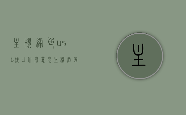 主机绿色usb接口什么意思（主机后面的绿色usb接口），主机绿色USB接口详解，功能与作用揭秘