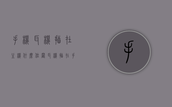 手机耳机插在主机什么位置（耳机插在手机的哪里），手机耳机插口位置详解，主机与手机的耳机插孔介绍，手机耳机插口位置详解，主机与手机耳机插孔介绍及使用方法
