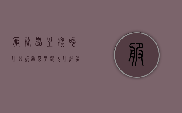 服务器主机叫什么（服务器主机叫什么名称），服务器主机名称大全，了解服务器主机的各种命名
