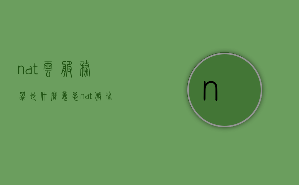 nat云服务器是什么意思（nat服务器的主要功能），NAT云服务器的概念及其主要功能解析，NAT云服务器概念解析，功能及意义探讨
