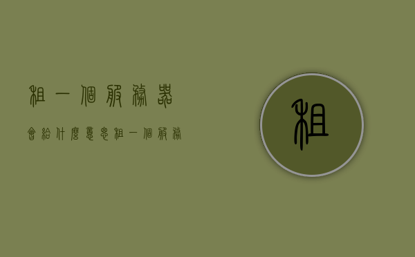 租一个服务器会给什么意思（租一个服务器可以干什么），租服务器，用途与意义全解析，租用服务器，用途、意义全解析