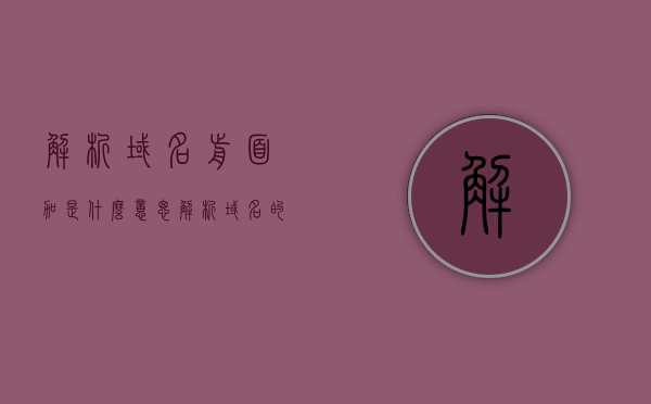 解析域名前面加是什么意思（解析域名的各个部分代表什么），解析域名，前缀含义与各部分代表内容详解