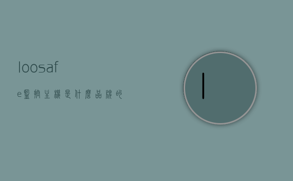 loosafe监控主机是什么品牌的简单介绍，Loosafe监控主机品牌简介，Loosafe监控主机品牌简介，了解这一监控主机品牌的起源与特点，Loosafe监控主机品牌起源与特点简介