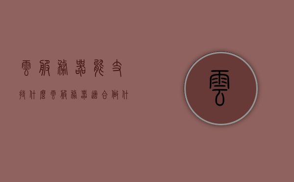云服务器能支持什么（云服务器适合做什么），云服务器支持及应用领域解析，云服务器适合做什么？，云服务器应用领域解析，支持哪些功能及应用领域？，云服务器应用领域解析，功能支持及在各个领域的应用实践 第1张