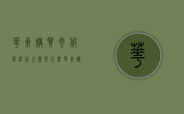 华东购买云服务器代金券是什么（华东购买云服务器代金券是什么意思啊），华东云服务器代金券购买详解，概念与用途介绍，华东云服务器代金券详解，概念、用途及购买指南