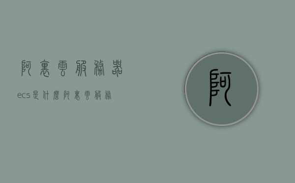 阿里云服务器ecs是什么（阿里云服务器ecs属于什么即服务），阿里云服务器ECS详解，什么是ECS及其即服务属性探究