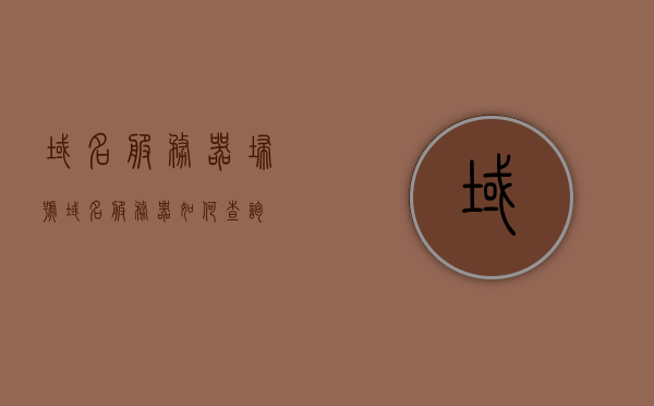 域名服务器扫号（域名服务器如何查询），域名服务器扫号详解，查询方法与操作指南