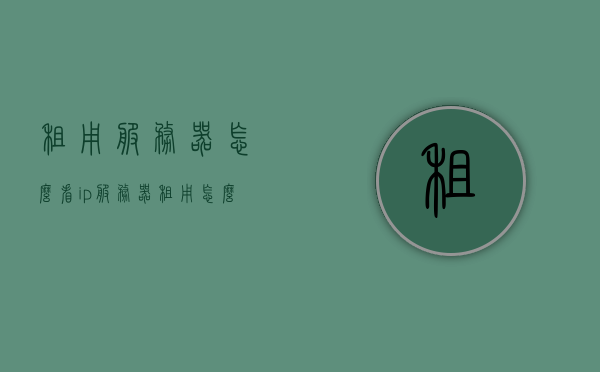 租用服务器怎么看ip（服务器租用怎么用），租用服务器，如何查看与使用IP地址？
