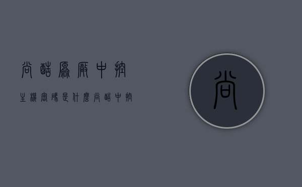 尚酷原厂中控主机密码是什么（尚酷中控图片），尚酷原厂中控主机密码及中控图片详解