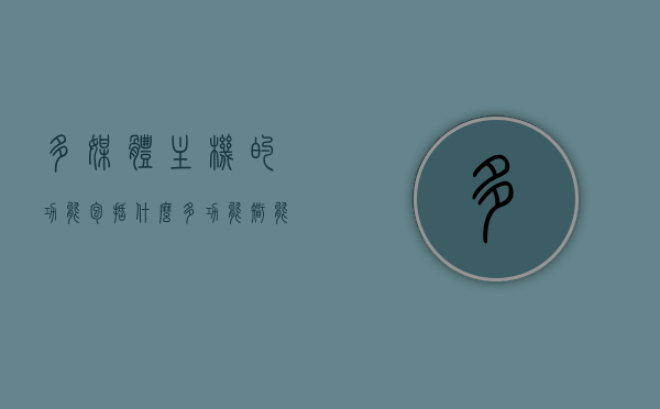 多媒体主机的功能包括什么（多功能智能主机一般包括什么等功能），多媒体主机的全面功能解析，智能主机涵盖哪些核心功能？，多媒体主机全面功能解析，智能主机核心功能概览