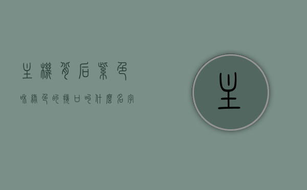 主机背后紫色和绿色的接口叫什么名字（主机后面的紫色接口是什么），主机背后紫色和绿色接口的名称解析，紫色接口功能揭秘，主机背后紫色与绿色接口解析，紫色接口功能揭秘及命名探讨