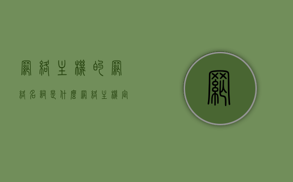 网络主机的网络名词是什么（网络主机定义），网络主机的定义及其网络名词概述
